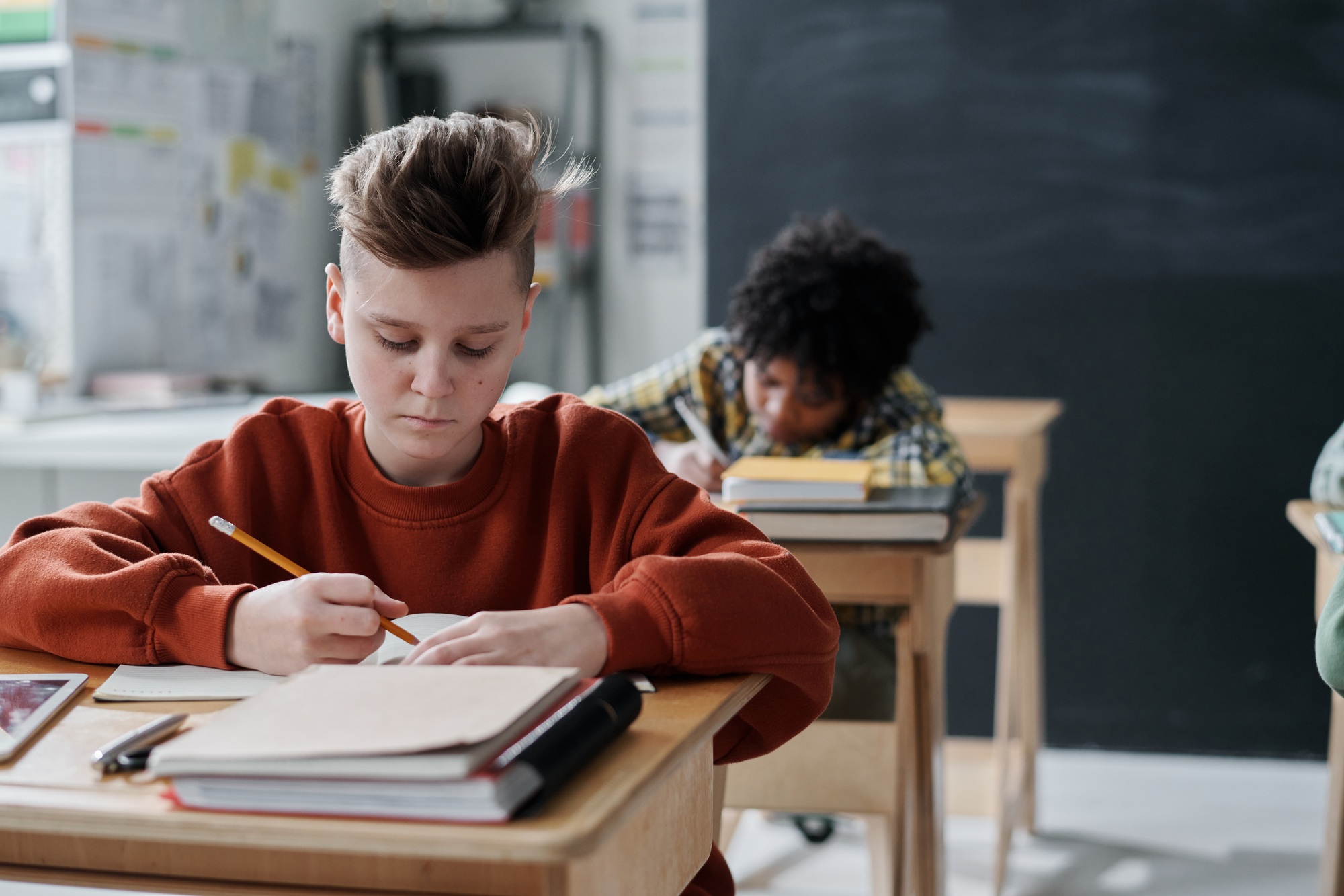 Schoolboy studying at lesson at school